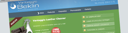 diseño de paginas web vantaggio colima